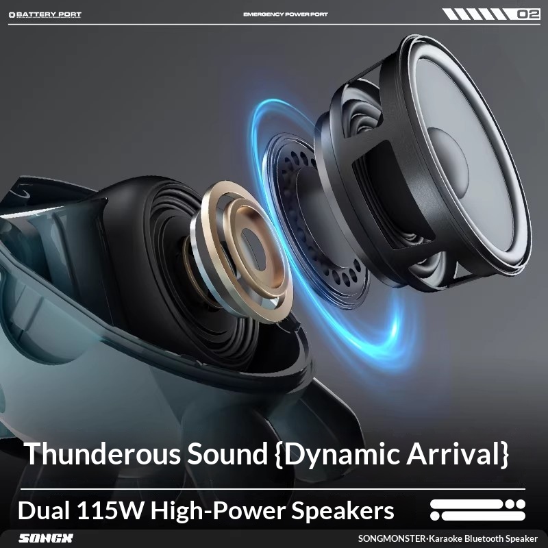 SONGX Audio Dual Microphone Du - Bluetooth Speaker review and price